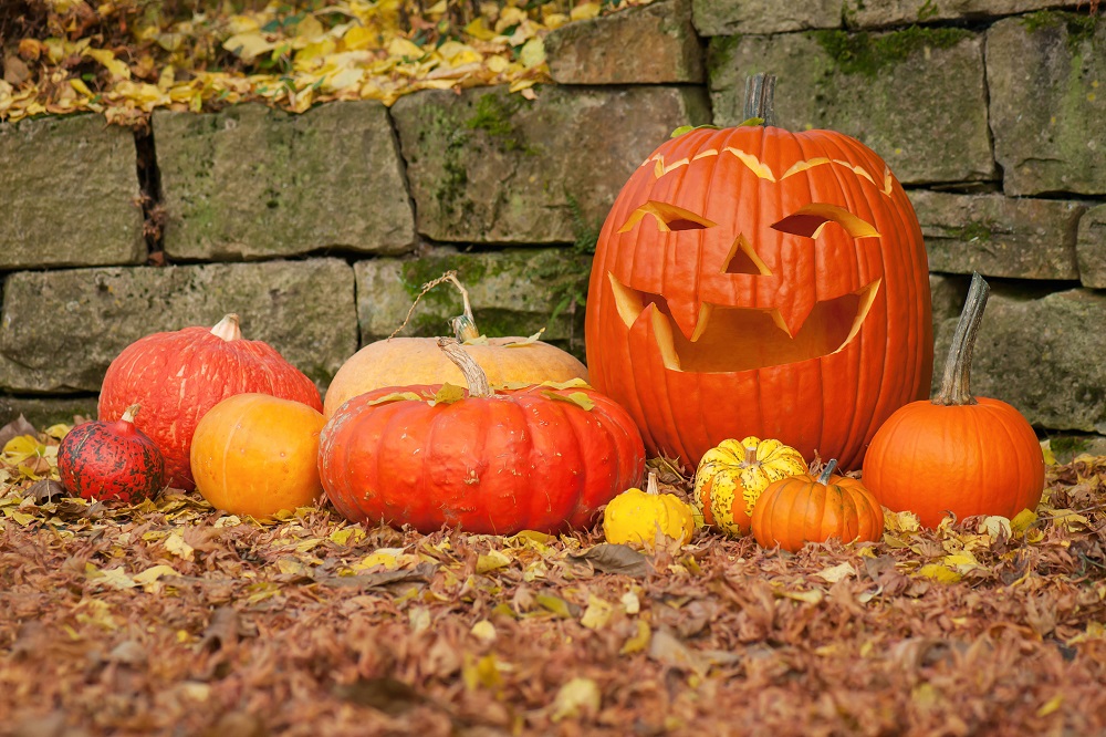 Homeway Homes Halloween TS 497030558