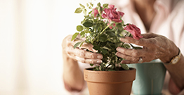 Dig into pre-spring with these home gardening tips
