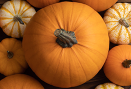 More Than a Pie or a Jack-O-Lantern