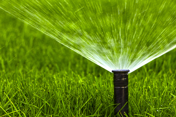 Get your yard ready for the hot summer