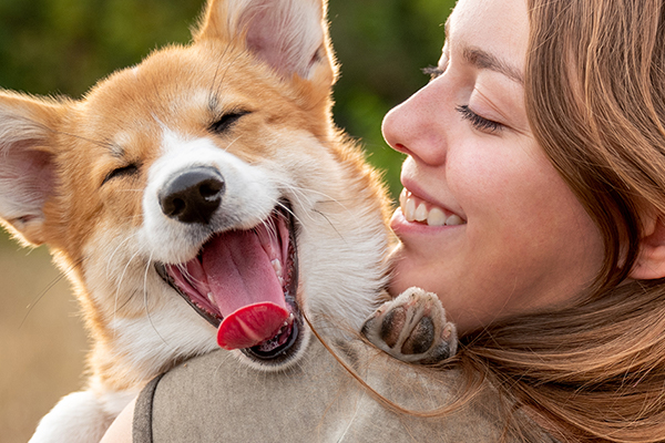 Make sure your furry friends are safe