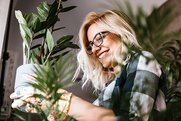 Getting your home ready: a to-do list for January