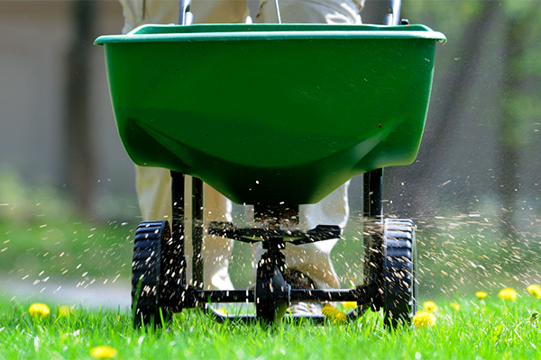 Get your lawn ready for summer