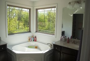 Custom Home Builder IL Bath_1
